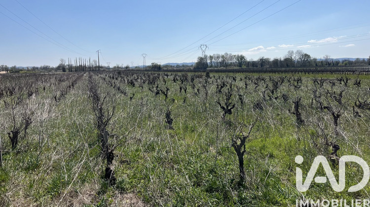 Ma-Cabane - Vente Terrain Codolet, 5160 m²