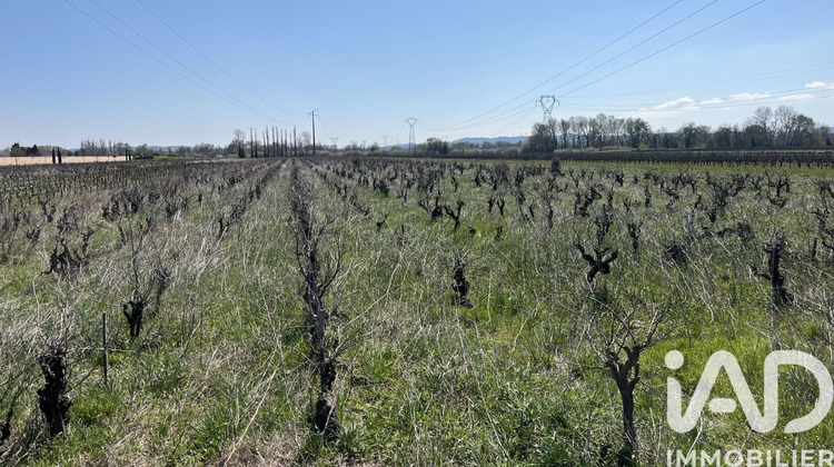 Ma-Cabane - Vente Terrain Codolet, 5160 m²