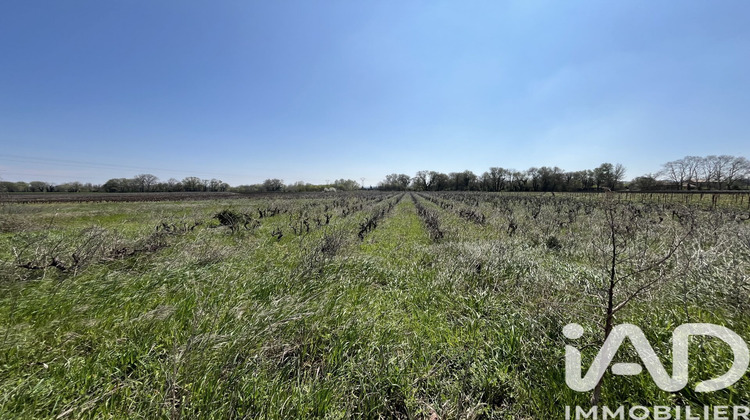 Ma-Cabane - Vente Terrain Codolet, 8225 m²