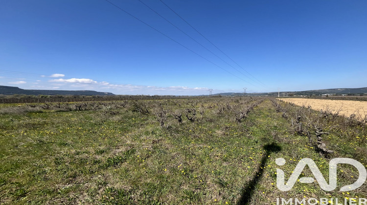 Ma-Cabane - Vente Terrain Codolet, 8225 m²