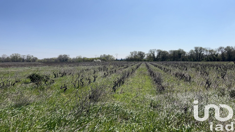 Ma-Cabane - Vente Terrain Codolet, 5975 m²