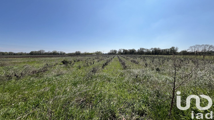 Ma-Cabane - Vente Terrain Codolet, 5975 m²