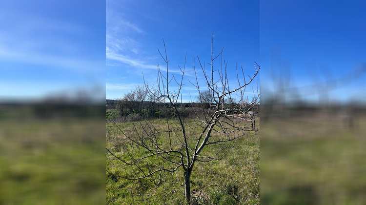 Ma-Cabane - Vente Terrain COLLIAS, 2600 m²