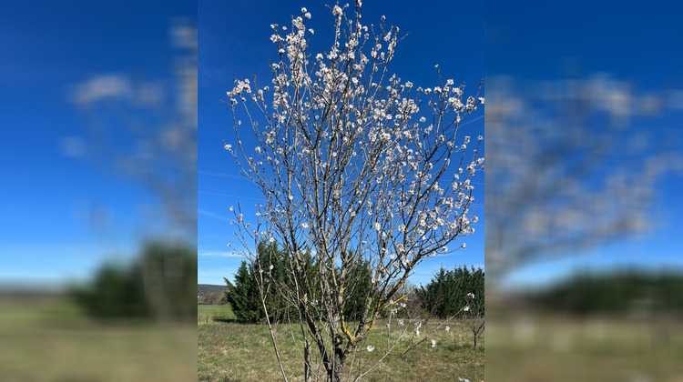 Ma-Cabane - Vente Terrain COLLIAS, 2600 m²