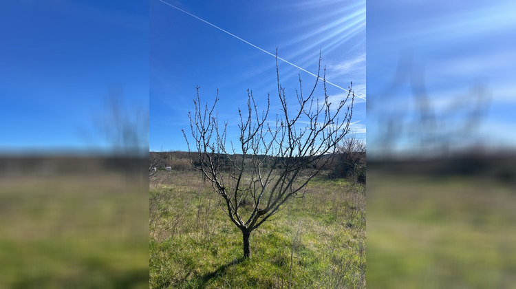 Ma-Cabane - Vente Terrain COLLIAS, 2600 m²