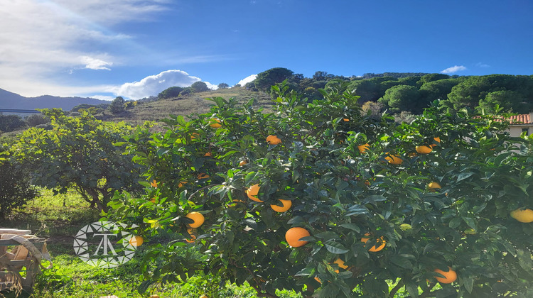 Ma-Cabane - Vente Terrain Collioure, 575 m²