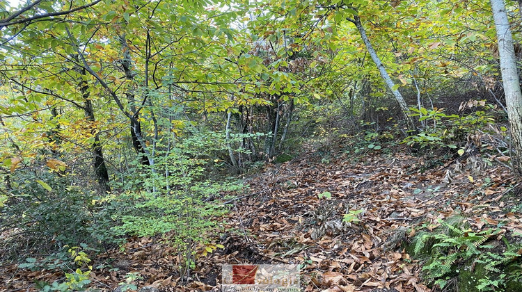 Ma-Cabane - Vente Terrain COLOGNAC, 5400 m²