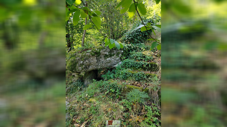 Ma-Cabane - Vente Terrain COLOGNAC, 5400 m²