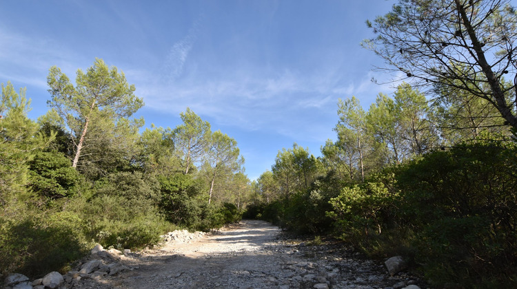 Ma-Cabane - Vente Terrain Combas, 1530 m²