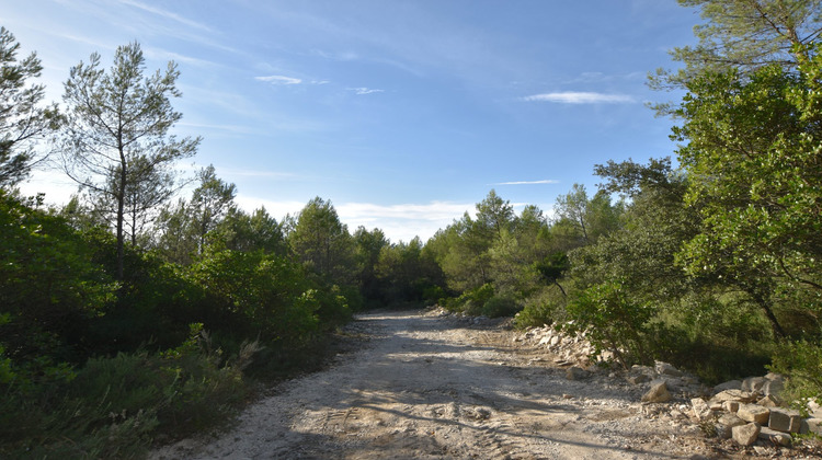 Ma-Cabane - Vente Terrain Combas, 1530 m²