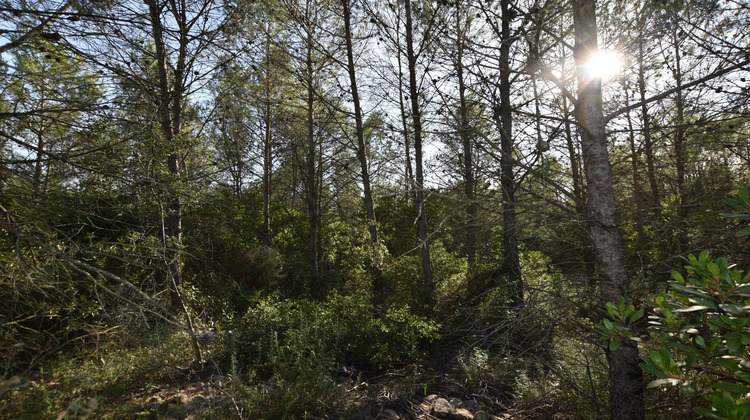 Ma-Cabane - Vente Terrain Combas, 1530 m²