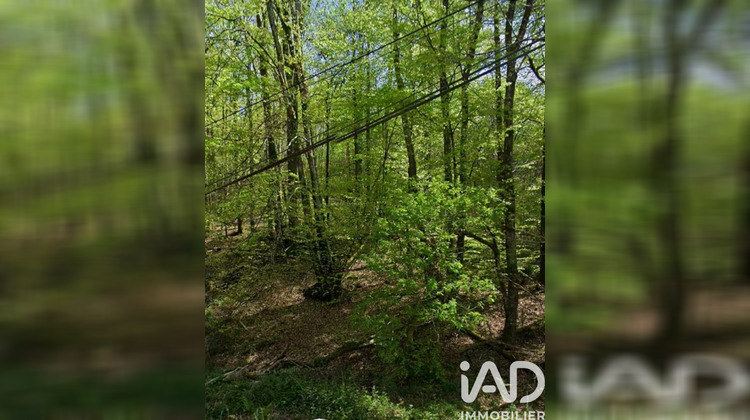 Ma-Cabane - Vente Terrain Compreignac, 4600 m²