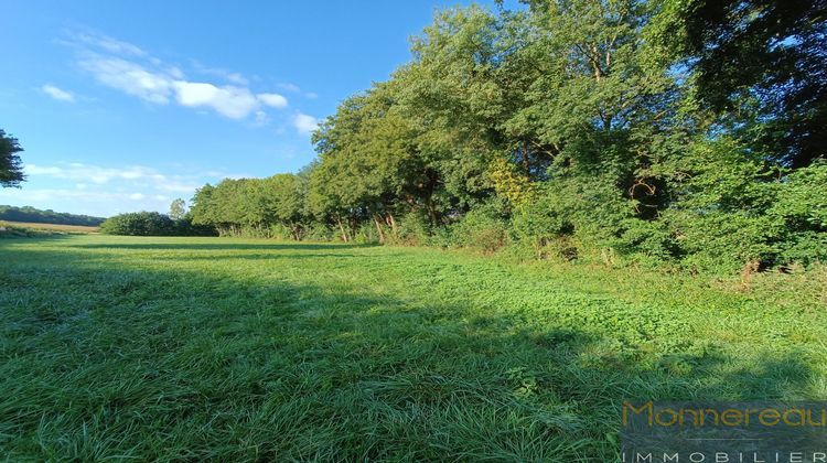 Ma-Cabane - Vente Terrain Condéon, 6660 m²