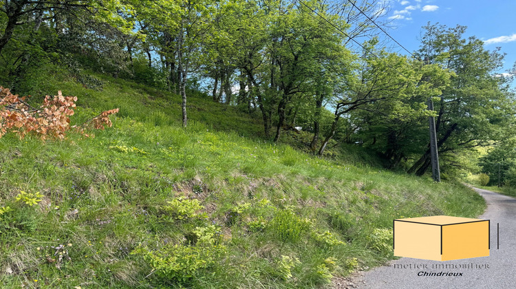 Ma-Cabane - Vente Terrain Conjux, 758 m²