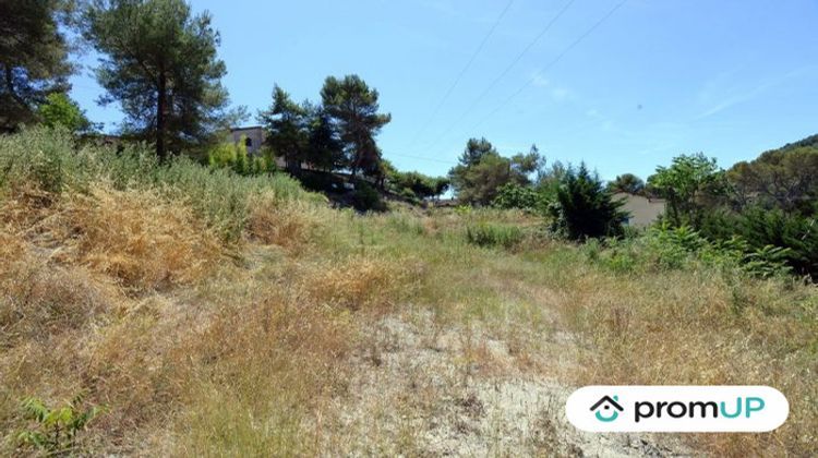 Ma-Cabane - Vente Terrain Contes, 10000 m²