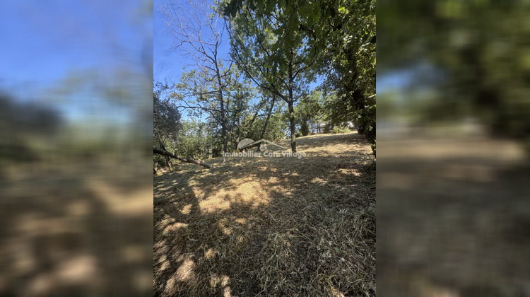 Ma-Cabane - Vente Terrain Contes, 2028 m²