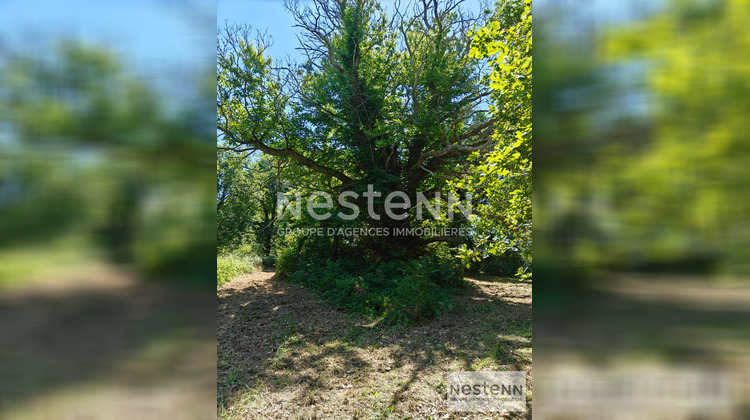 Ma-Cabane - Vente Terrain CONTRES, 270000 m²