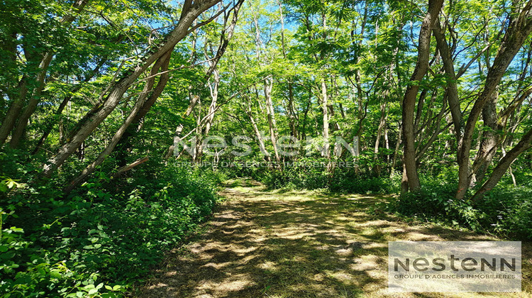 Ma-Cabane - Vente Terrain CONTRES, 270000 m²