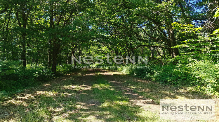 Ma-Cabane - Vente Terrain CONTRES, 270000 m²