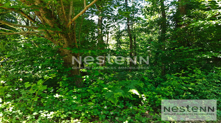 Ma-Cabane - Vente Terrain CONTRES, 270000 m²