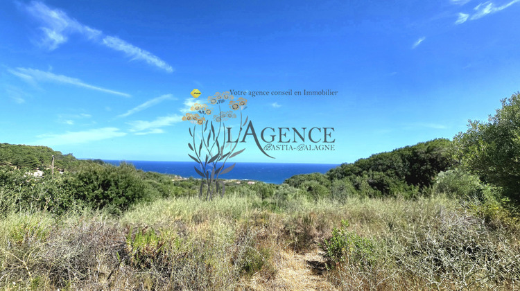 Ma-Cabane - Vente Terrain Corbara, 4259 m²