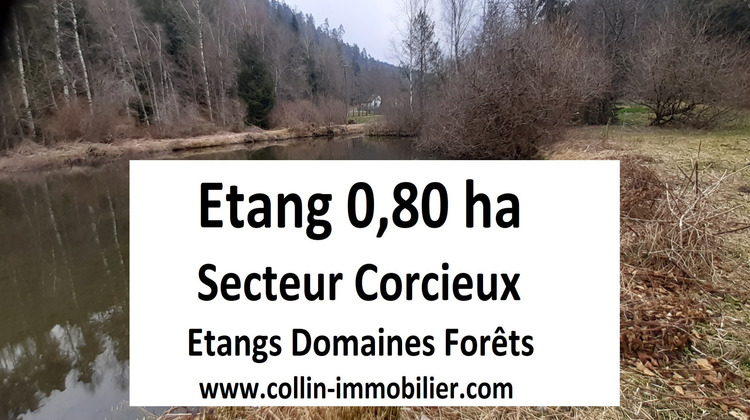 Ma-Cabane - Vente Terrain Corcieux, 8000 m²