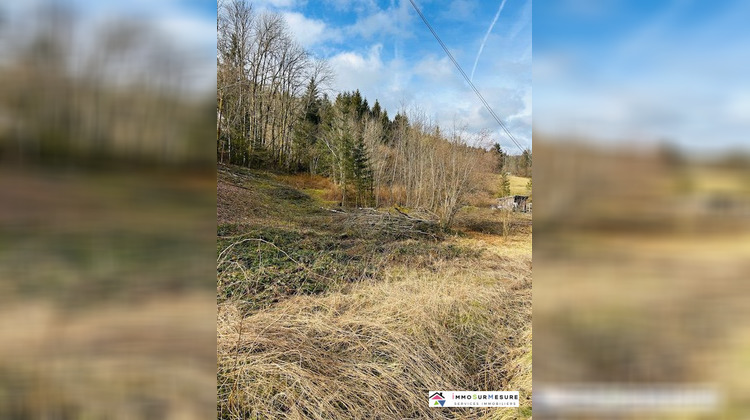 Ma-Cabane - Vente Terrain Cornimont, 1770 m²