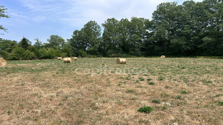 Ma-Cabane - Vente Terrain COULAURES, 8637 m²