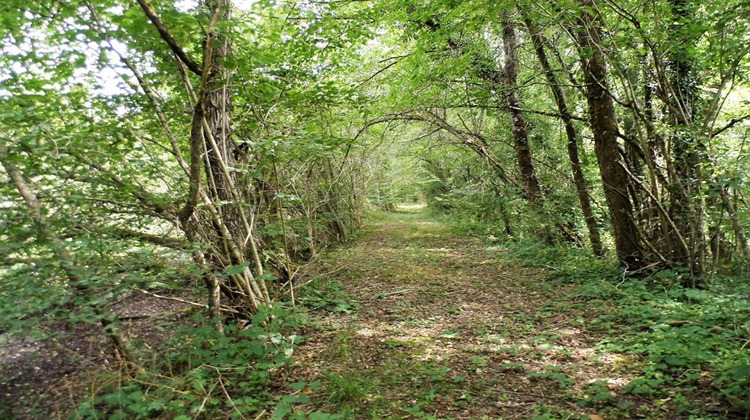 Ma-Cabane - Vente Terrain COULLONS, 464000 m²