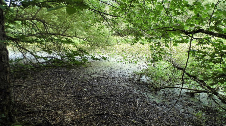 Ma-Cabane - Vente Terrain COULLONS, 464000 m²