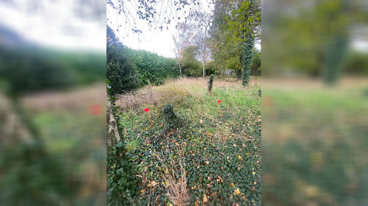 Ma-Cabane - Vente Terrain Coulogne, 815 m²