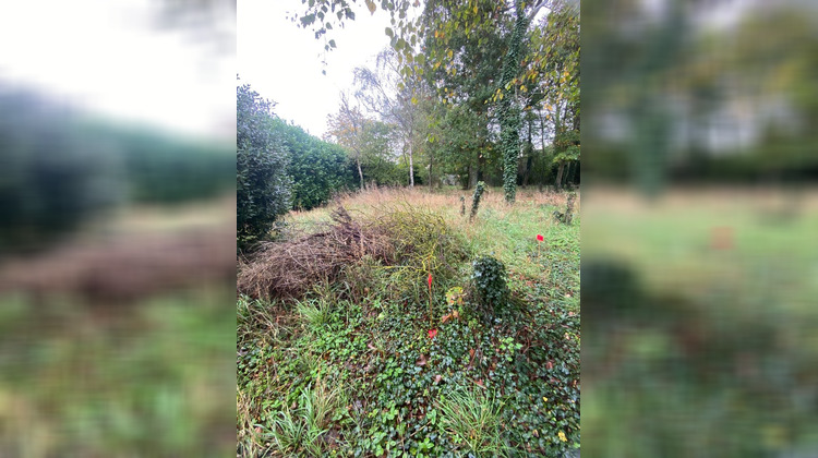 Ma-Cabane - Vente Terrain Coulogne, 815 m²