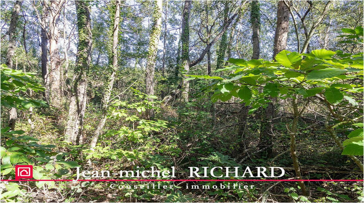 Ma-Cabane - Vente Terrain COURMEMIN, 166990 m²