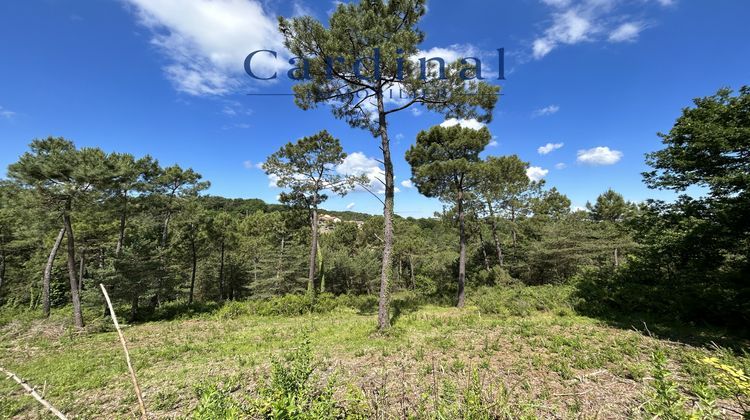 Ma-Cabane - Vente Terrain Coursac, 990 m²