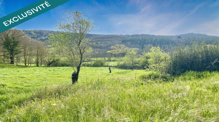 Ma-Cabane - Vente Terrain Courtauly, 3175 m²