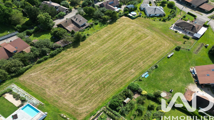 Ma-Cabane - Vente Terrain Courtavon, 3025 m²