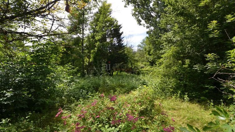 Ma-Cabane - Vente Terrain Courtenay, 768 m²