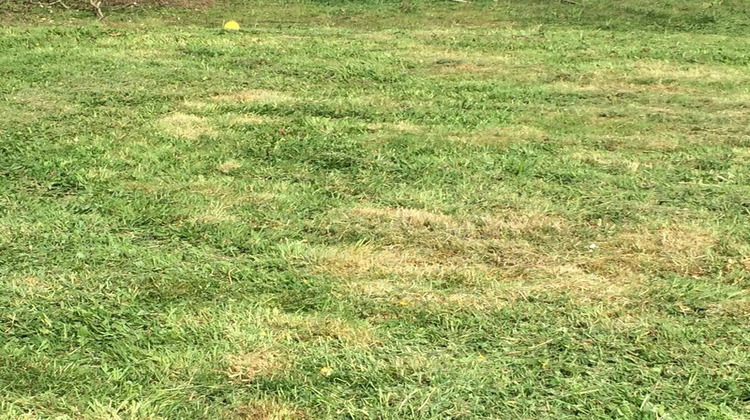 Ma-Cabane - Vente Terrain CROISY SUR ANDELLE, 1154 m²