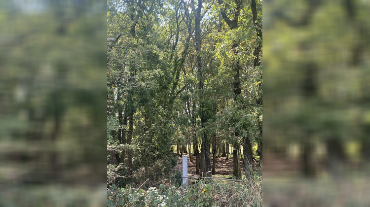 Ma-Cabane - Vente Terrain CROSSAC, 10760 m²