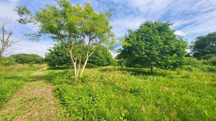 Ma-Cabane - Vente Terrain CROZON, 14090 m²