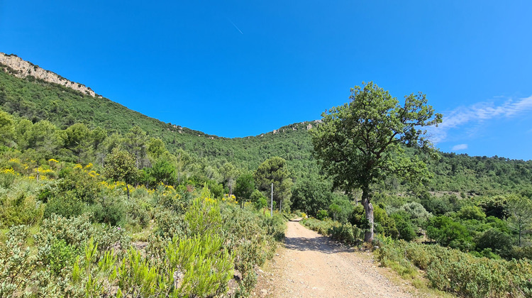 Ma-Cabane - Vente Terrain CUERS, 2385381 m²