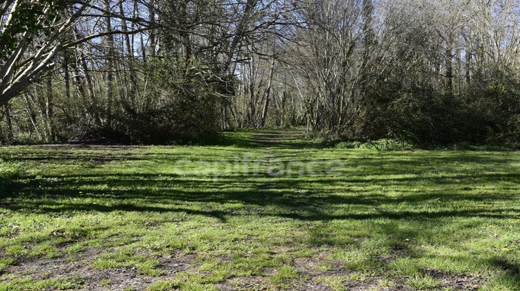 Ma-Cabane - Vente Terrain CURSAN, 751 m²