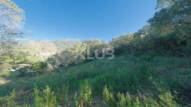 Ma-Cabane - Vente Terrain CUTTOLI-CORTICCHIATO, 1186 m²