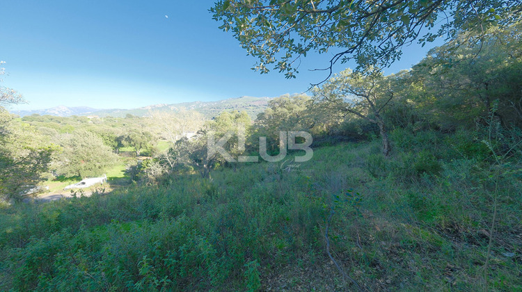 Ma-Cabane - Vente Terrain CUTTOLI-CORTICCHIATO, 1186 m²