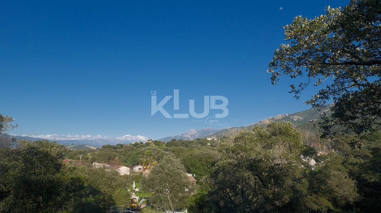 Ma-Cabane - Vente Terrain CUTTOLI-CORTICCHIATO, 1186 m²