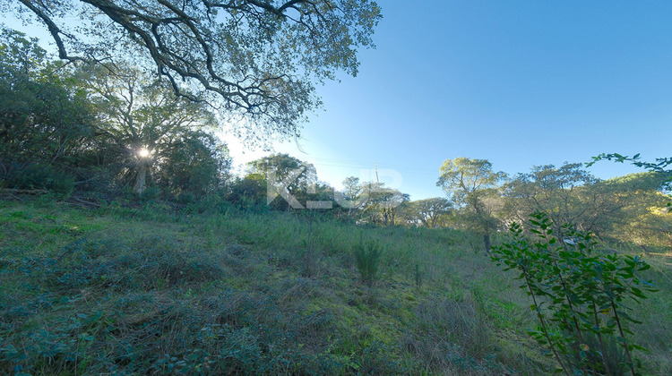 Ma-Cabane - Vente Terrain CUTTOLI-CORTICCHIATO, 1186 m²