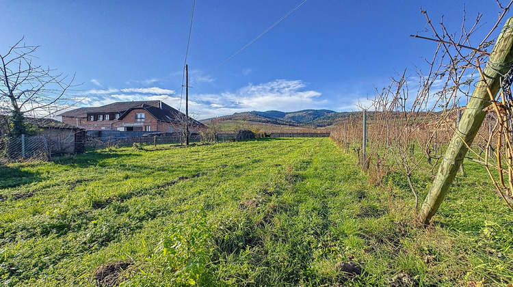 Ma-Cabane - Vente Terrain Dambach-la-Ville, 684 m²