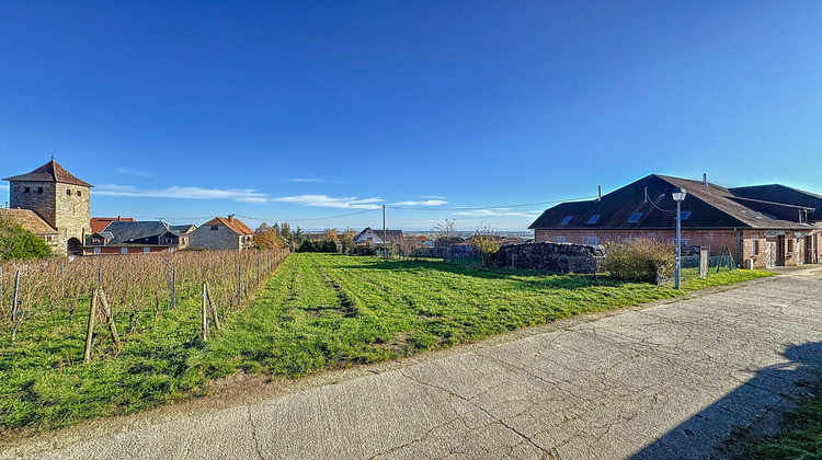 Ma-Cabane - Vente Terrain Dambach-la-Ville, 684 m²