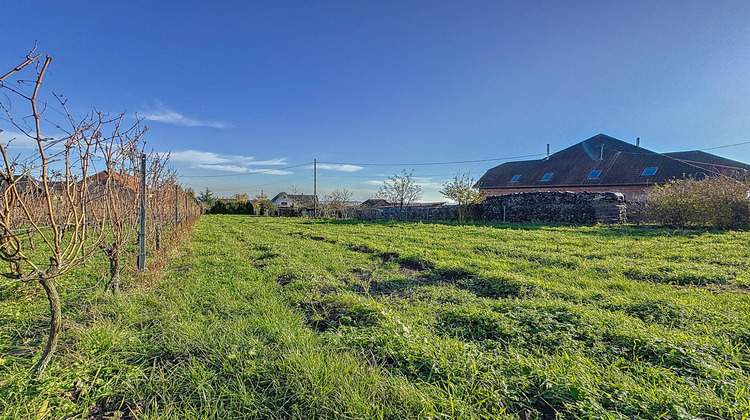 Ma-Cabane - Vente Terrain Dambach-la-Ville, 684 m²