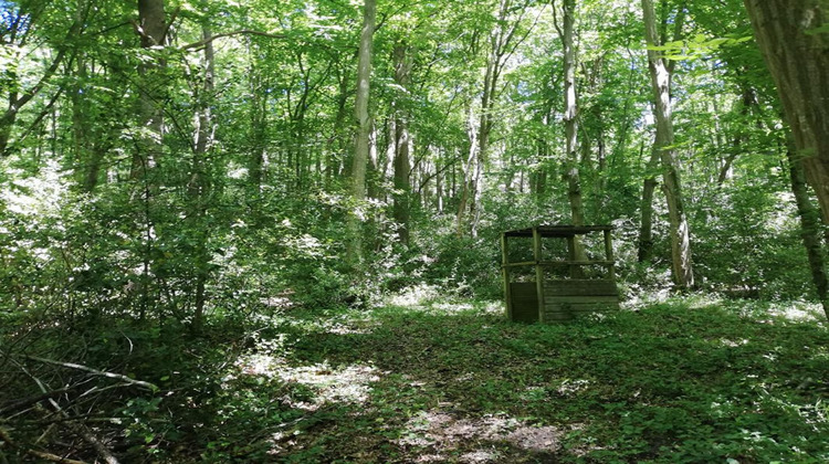 Ma-Cabane - Vente Terrain DAMPIERRE EN YVELINES, 8000 m²